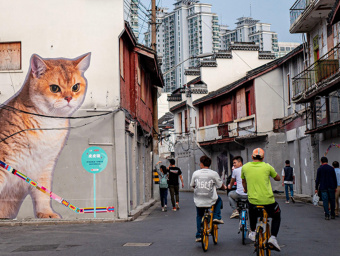 Шанхайская Старая улица &laquo;преобразилась&raquo; креативной &laquo;Bund Cat Street&raquo;